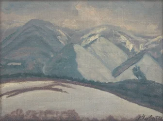 Snowy Mountains